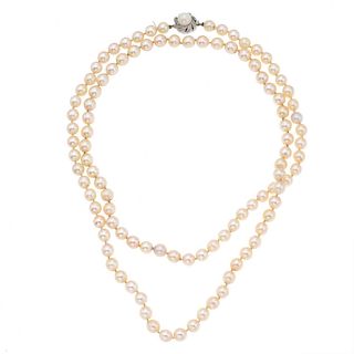 Collar de perlas y plata .925. 104 perlas cultivadas de 6 mm color crema. Broche plata .925. Peso: 71.3 g.