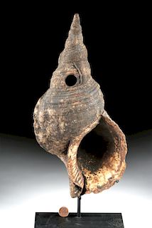 19th C. Papua New Guinea Conch Shell Trumpet (Tutue)