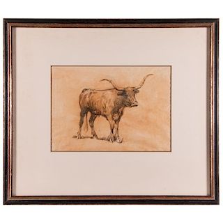 An ink on paper drawing of longhorn steer.