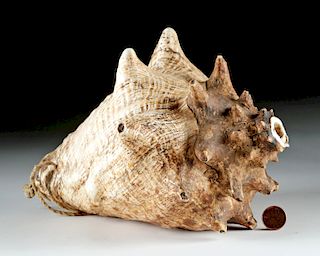 Rare Inca Conch Shell Trumpet w/ Original Cord