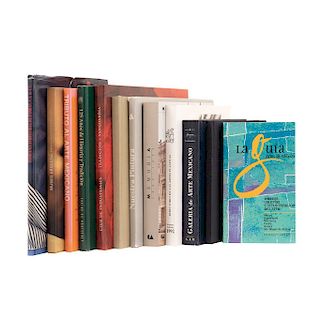 Rio R., Francisco del / Romero Keith, Delmari / Muñoz, Víctor / López Domínguez, Leonor. Libros sobre Artes plásticas. Pzs: 12.