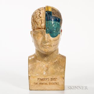 Molded and Polychrome Painted Plaster Phrenology Head