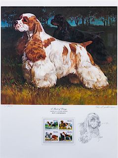 * An American Water Spaniel Photomechanical Reproduction 18 x 13 3/4 inches.
