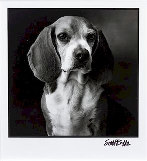 * Four Works of Art depicting Beagles Largest: 21 x 15 3/4 inches.