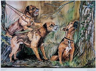 * Two Photomechanical Reproductions of Border Terriers Larger: 15 3/4 x 21 1/4 inches.