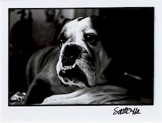 * Three Working of Art depicting Bulldogs Largest: 16 3/4 x 19 inches.