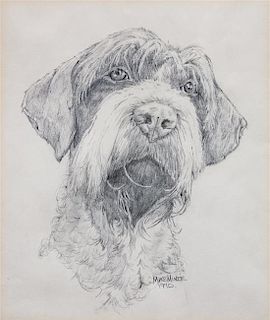 * A Head Study of a Wirehaired Pointing Griffon 9 1/2 x 8 inches.