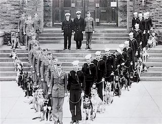 * Nine Photographs of Military and Police Dogs, Various Breeds Largest: 10 1/2 x 16 1/2 inches.