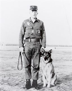 * Fourteen Photographs of Military and Police Dogs, Various Breeds Largest: 16 x 12 inches.