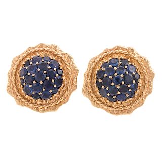 A Pair of Ladies Sapphire Clip Earrings in 14K