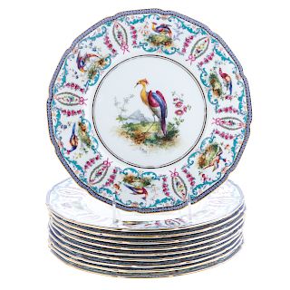 10 Royal Doulton China Plates