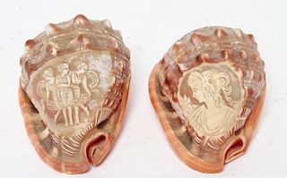 Cameo Carved Conch Shells, 2