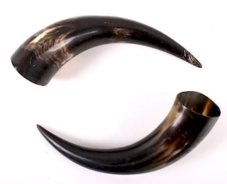 Pair of Large Cow Horns