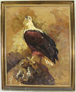 Continental School, Portrait of a Bald Eagle