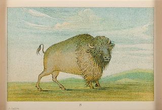 After George Catlin 3 1/4 x 5 inches