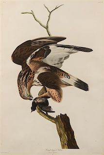 * AUDUBON, John James (1785-1851). Rough-Legged Falcon (Plate CLXVI)