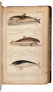 CUVIER, Georges L. C., Baron (1769-1832). The Animal Kingdom. London: G. Henderson, 1837.