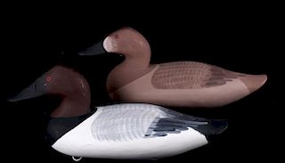 Canvasback Decoy Pair by Patrick Vincenti