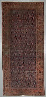 Late 19th C. Southwest Persian Rug: 7'7'' x 17'4''