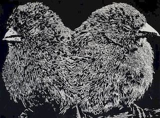 Emily Sullivan-Smith (b. 1980) Two Birds with One Stone, 2015, Relief print.
