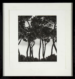 April Gornik "Sky in Trees" Etching on Paper