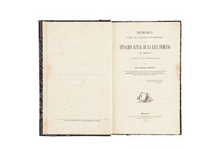 Pimentel, Francisco. Memoria sobre las Causas que han Originado la Situación Actual de la Raza Indígena de México... México, 1864.