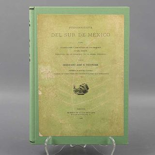 Rovirosa, José N. Pteridografía del Sur de México o sea Clasificación y Descripción de los Helechos de esta Región, Precedi...