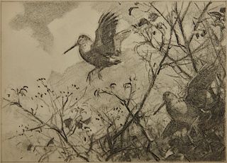 AIDEN LASSELL RIPLEY, (American, 1896-1969), Woodcock, charcoal on artists board, image: 6 1/2 x 9 1/8 in., sheet: 7 1/8 x 9 3/4 in.