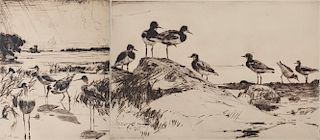 FRANK WESTON BENSON, (American, 1862-1951), Turnstones and Yellowlegs in Sunlight, etchings