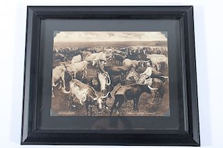 Texas Long Horns Photograph Print By W S Prettyman