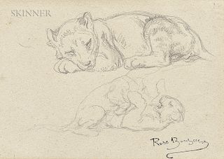 Rosa Bonheur (French, 1822-1899)  Studies of the Artist's Lion Cub, Fathma