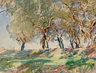John Singer Sargent (American, 1856-1925)  Olive Grove