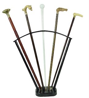 Collection of (5) Five Canes With Stand.