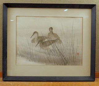 Asian Three Cranes  Watercolor on Paper