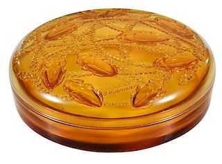 R. Lalique Cleones Amber Box