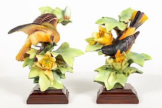 Pair Royal Worcester Baltimore Orioles by Doughty