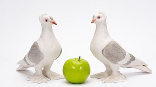 Pair, Boehm Tumbler Pigeons Porcelain Birds