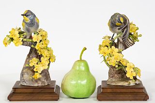 Pair, Doughty Audubon Warblers, w/Original Boxes