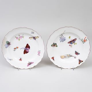 Pair of Derby Porcelain Plates Decorated with Insects