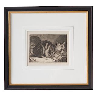 Cornelis Visscher II. "The Large Cat"
