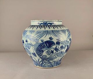 Ming Dynasty Provincial Blue and White Jar