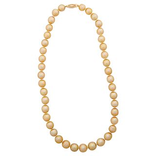 GOLDEN SOUTH SEA PEARL NECKLACE
