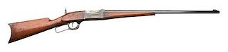 Savage Model 1895 Lever-Action Rifle  