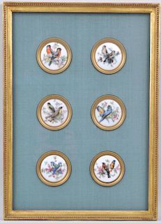 Group Six Framed Limoges Bird Plaques