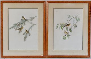 Pair Gould & Richter Framed Lithographs Birds