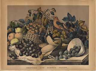 Tropical and Summer Fruits - Large folio Currier & Ives