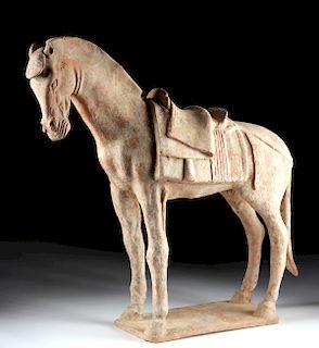 Impressive Chinese Tang Dynasty Terracotta Horse w/ TL
