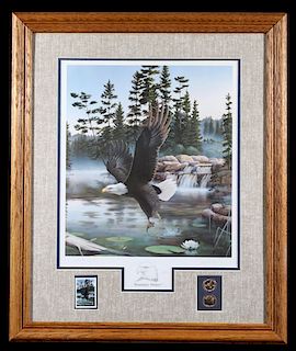 Boundary Waters Eagle Photo