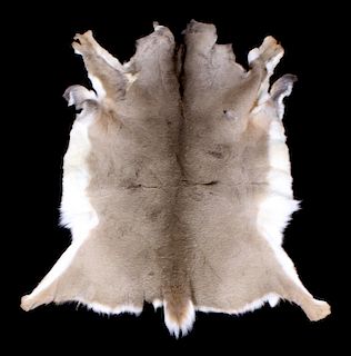 Montana Whitetail Deer Tanned Hide