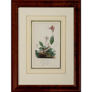 Audubon Avian Hand-Colored Engravings, Henslow's Bunting and Lesser Redpoll Linnet, Bowen Edition